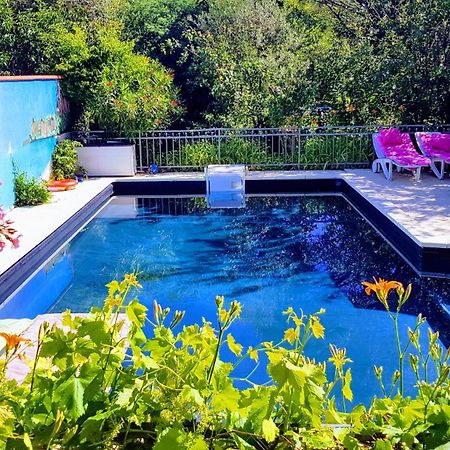 Апартаменты 80 M2 Independant 4 Personnes Direct Gare Ou Aeroport Jardin Piscine Тулуза Экстерьер фото